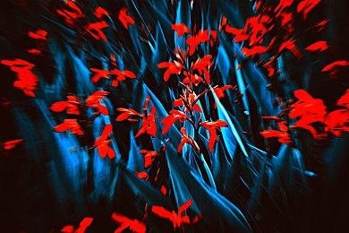 科隆：《碧蓝幻想：Relink》明年2月1日推出