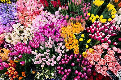 《星空》实体典藏版开箱视频 9月6日正式发售